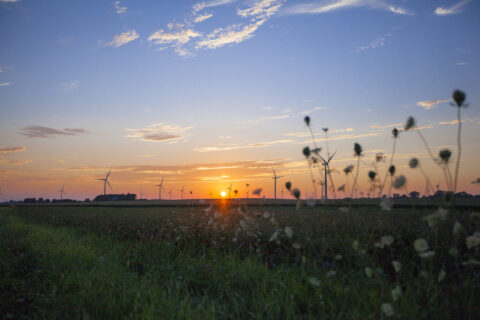 Amazon Wind Farm At Fowler Ridge