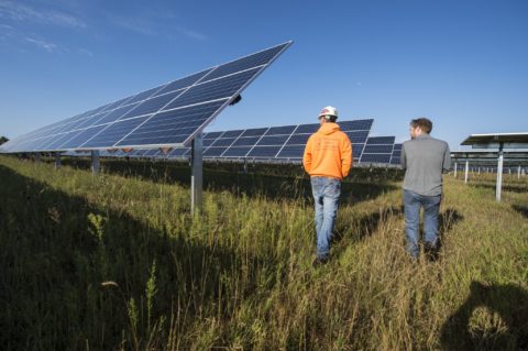 Go to Businesses Share the Success of Minnesota’s Clean Energy Economy