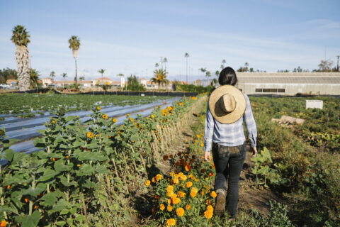 Go to Leading the Charge for Climate-Smart Farms