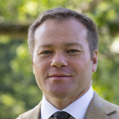 Patrick Woodcock, EF board member